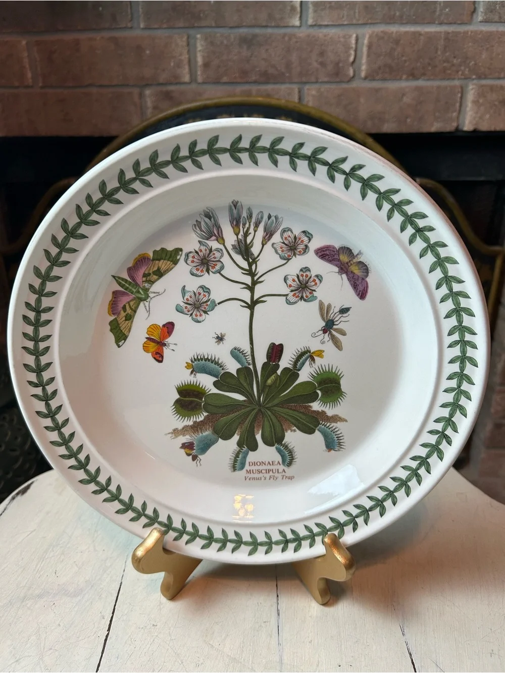 PORTMEIRION BOTANIC GARDEN 10.5” Dinner Plate Venus’s Fly Trap Butterflies 1972